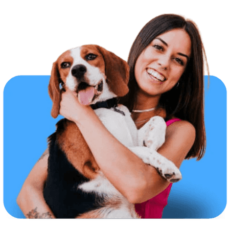 animais de estimação