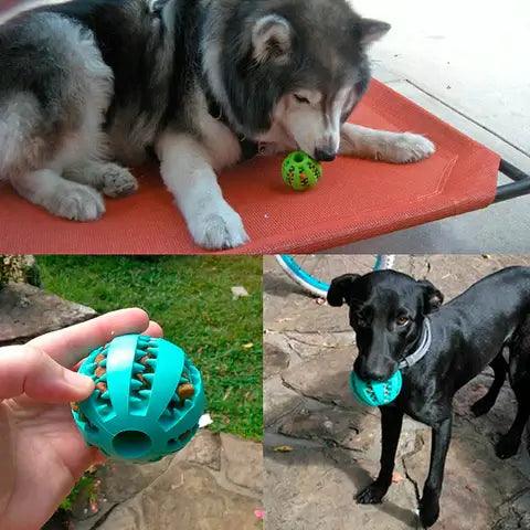Bola De Mastigação para cachorro