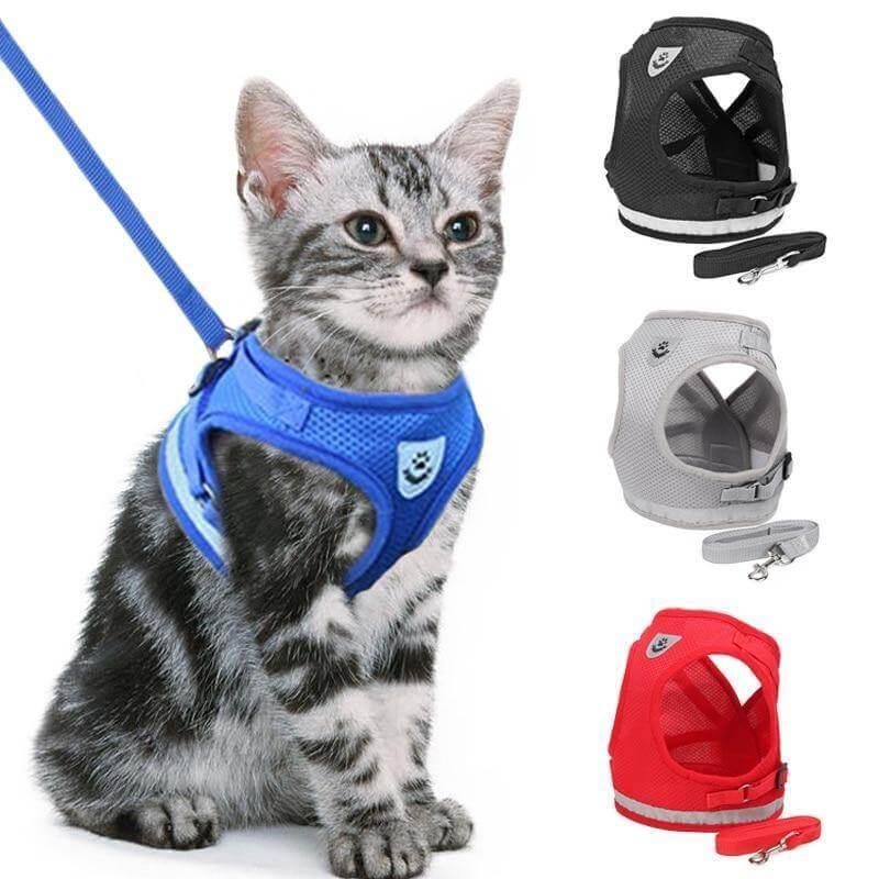 Coleira de Peitoral para Gatos