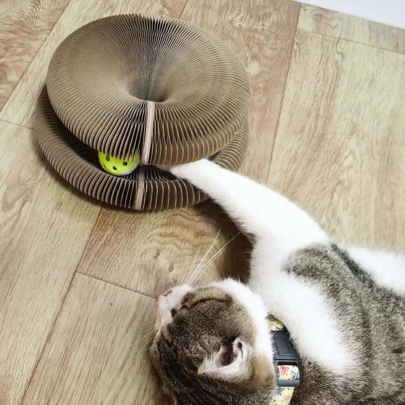 Brinquedo Para Gato Arranhador de Papel Sanfonado Dobrável